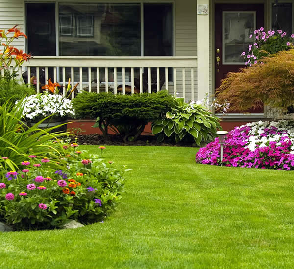Landscaping Lawn Care Services Florida