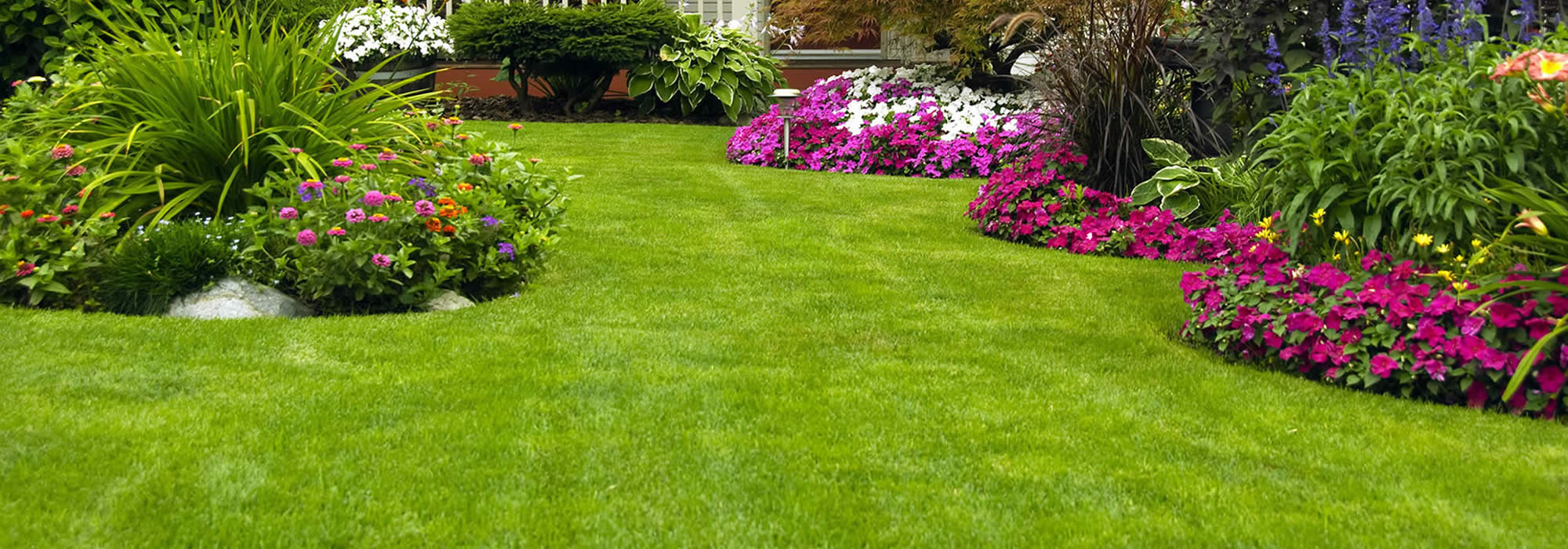 Local Landscaping Services Florida