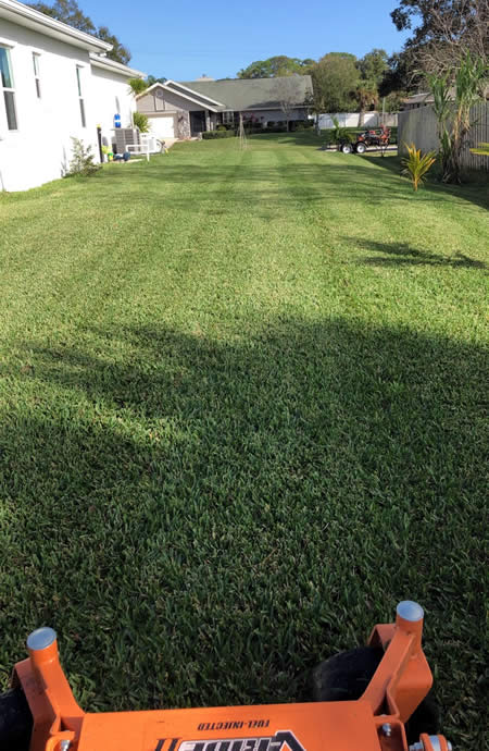 Lawn Maintenance Services Palm Bay, Florida