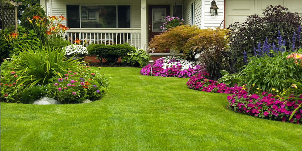 Landscaping Lawn Services Florida