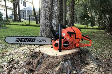 Tree and Shrub Trimming Services Palm Bay, Florida