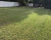 Saddlebrooke lawn